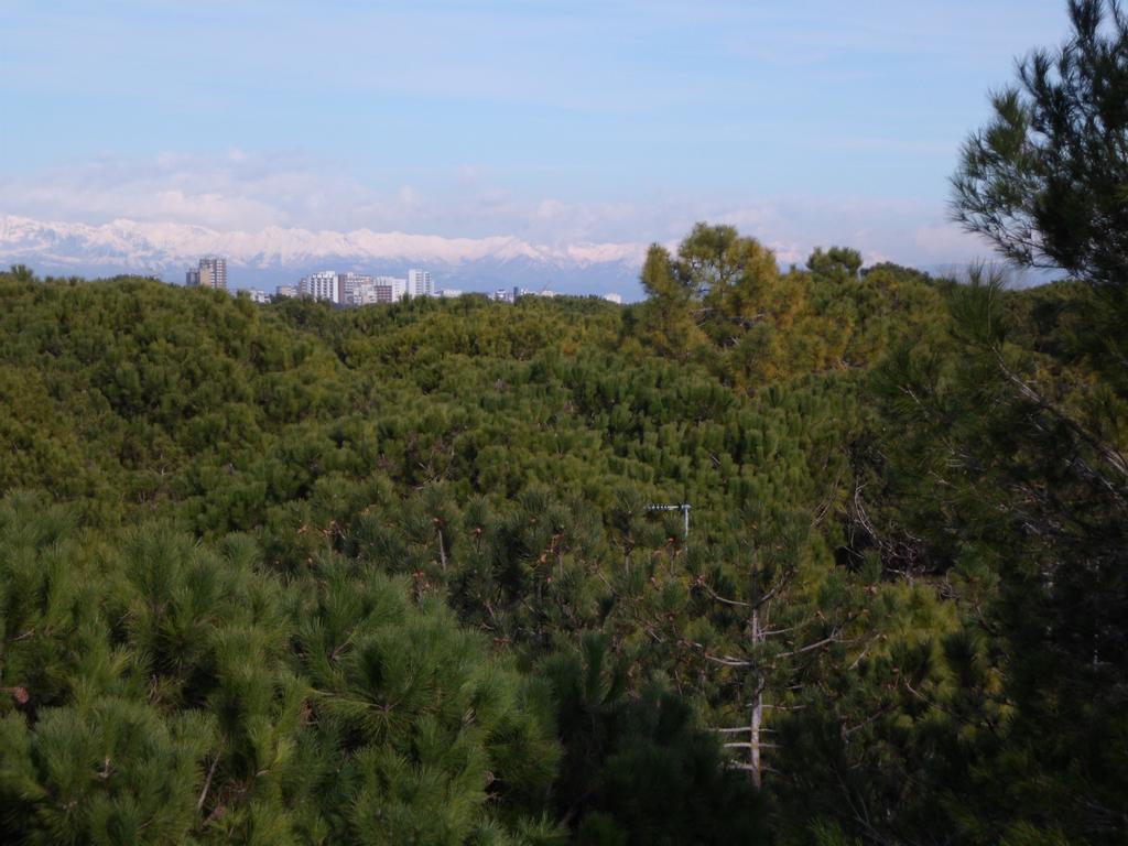 Residence Gardenia Lignano Sabbiadoro Zewnętrze zdjęcie